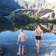 IMG-20190908-WA0002
